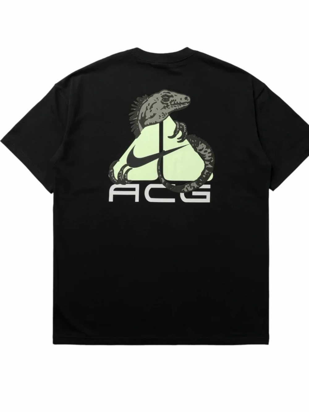 Nike ACG Tee "Iguana" - HJ0884-010